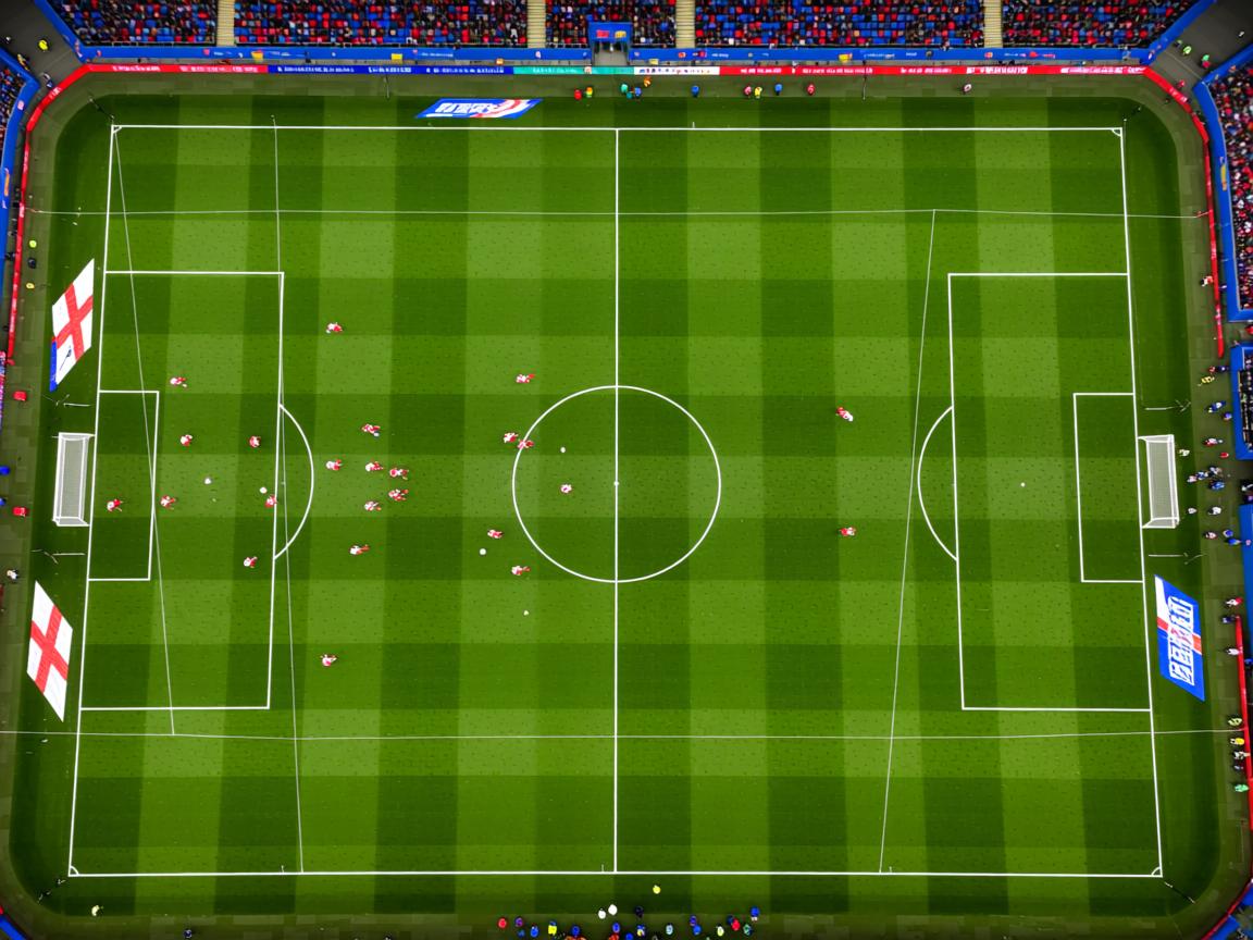 星空体育最新版-体育新闻中心推动体育短视频版权交易体系完善,体育短视频定义 第3张