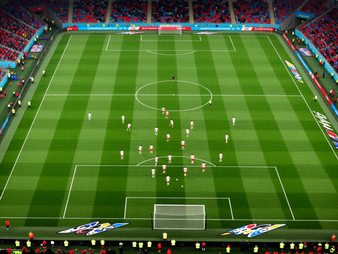 星空app官网-技术图谱:蛙泳四大环节逐项评分,蛙泳技术动作分析 第3张