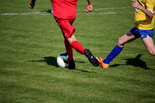 星空体育下载-国际足球俱乐部青训论坛在广州召开，国际足联青训补偿标准